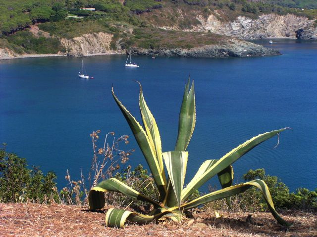Urlaubstraum auf der Insel Elba