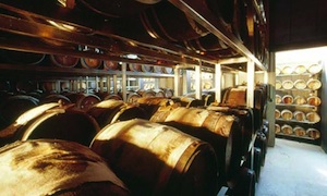 pecoraro acetofaesser