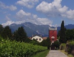 weinreise friaul
