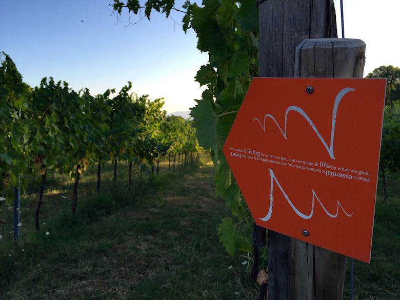 Valdonica Leitfaden für das Leben und Streben in der Maremma