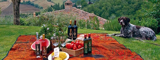 Toskana Genussreise ins Chiantital bei Greve Toskana Genussreise ins Chiantital bei Greve