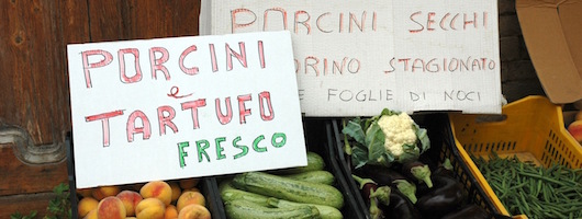 Sprachkurs Kochkurs Trüffelsuche in Bagno di Romagna Italien Sprachkurs Kochkurs Trüffelsuche in Bagno di Romagna Italien