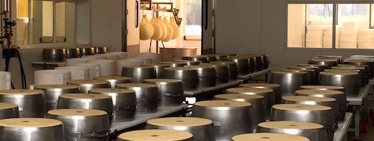 Emilia Modena Verkostung Parmigiano