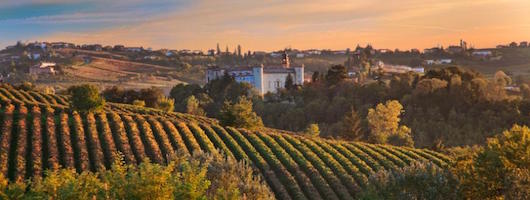 Weine aus den besten Lagen Italiens bei Wein und Co
