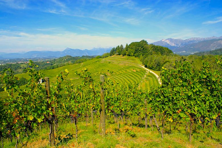 Friaul Blick in die Berge