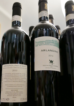 Arlandino der Tenuta Santa Catarina Piemont