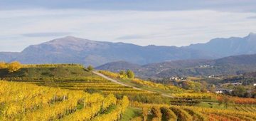 Kurzurlaub im Winzerzimmer Friaul Collio 