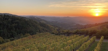 Toskana Sonnenuntergang Il Tagliato