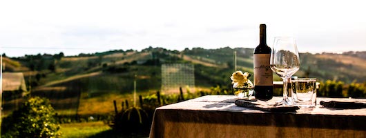 Marche Verkostung Weingut Filodivino Marche Verkostung Weingut Filodivino