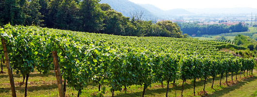 Franciacorta Genussreise Weinreise Agriturismo