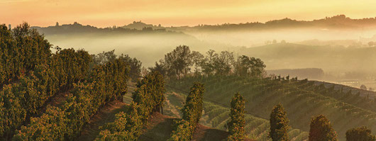 Weinreise zu den Genusshandwerkern im Piemont Weinreise zu den Genusshandwerkern im Piemont